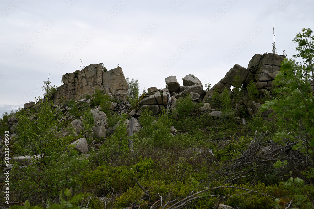 Fototapeta premium Well known Rock formation at Schierke, Harz National Park. Freeclimbing Rock formation Mauseklippe near Schierke.