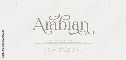 Arabian Elegant luxury abstract wedding fashion logo font alphabet. Minimal classic urban fonts for logo, brand etc. Typography typeface uppercase lowercase and number. vector illustration