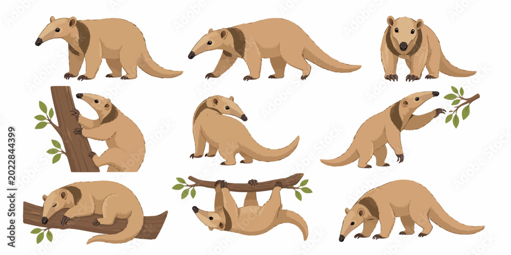 Obraz premium A group of anteaters are climbing and standing on trees and ground in forest.