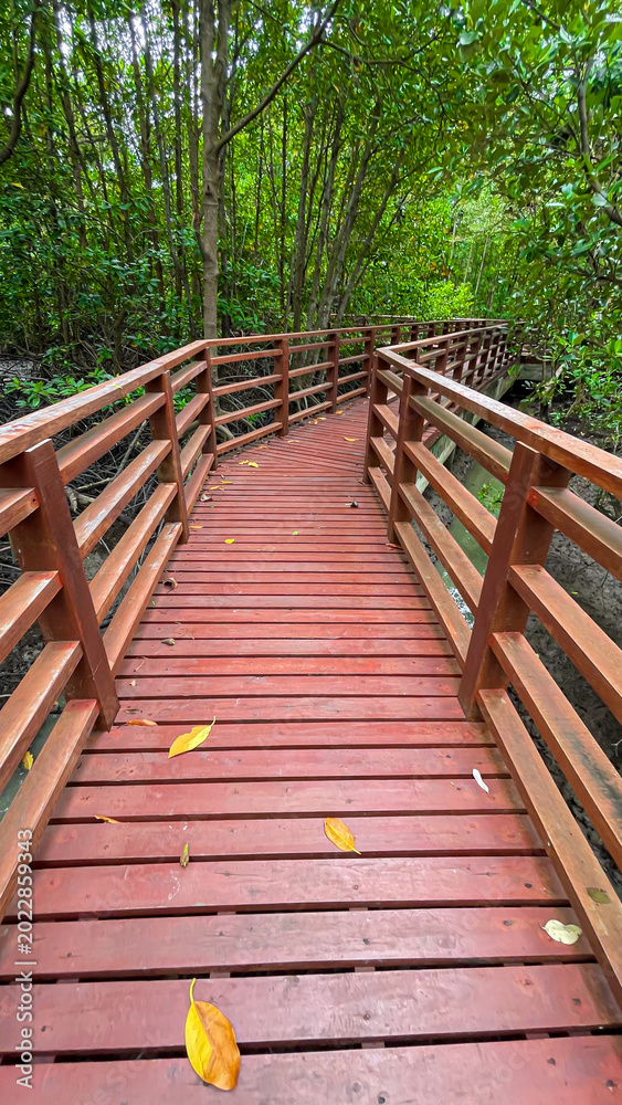 Fototapeta premium A wooden walkway in a mangrove forest represents environmental awareness, nature conservation, and sustainable eco-tourism