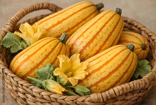 Yellow and orange striped winter squash with squash flowers and leaves in a rustic wicker basket close-up