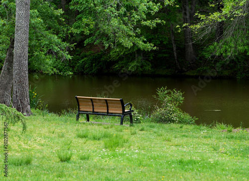 Park bench facing river in green landscape