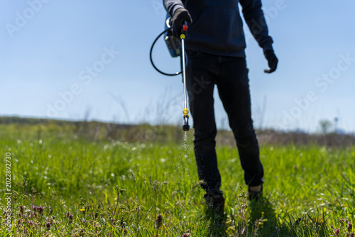 Fényképezés Worker with sprayer applying herbicide or tick control chemical on green grass field outdoors during sunny daytime