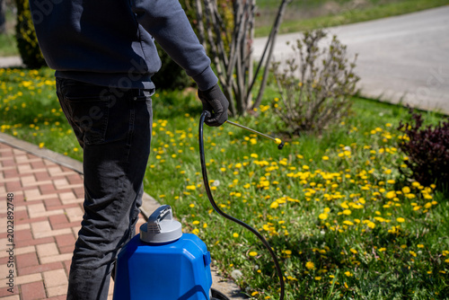 Billede på lærred Worker with backpack sprayer applying herbicide or tick control chemical on grass and plants near walkway outdoors