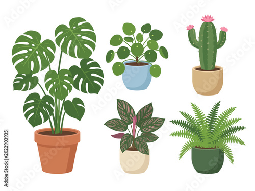 Bild auf Leinwand This image features a collection of assorted potted plants, including ferns and cacti, bringing a touch of nature and a refreshing ambiance to indoor spaces