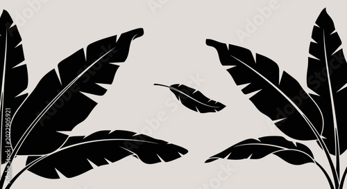 Black banana leaves against neutral background botanical illustration