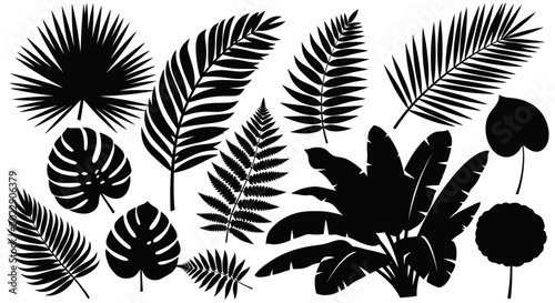 Black silhouette tropical leaves collection on white background vector illustration