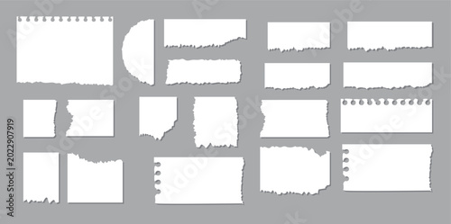 Fotografía Torn Paper Collection: A collection of various torn paper pieces, offering diverse shapes and textures