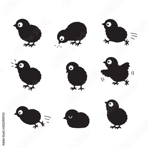 Cute Chick Silhouette Collection with Different Poses and Baby Bird Activities Illustration