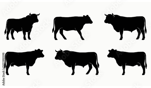 Black Beef Cattle Silhouettes Collection with Farm Cow and Bull Livestock Vector Set
Keywords: