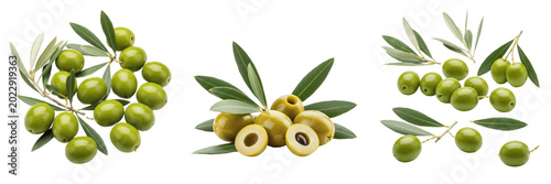 Photos Green Black Olives Isolated PNG Transparent Background Mediterranean Food Set