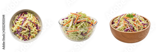 Obraz na płótnie Crunchy Fresh Shredded Coleslaw Cabbage Carrot Salad Bowl Mayonnaise Dressing BB