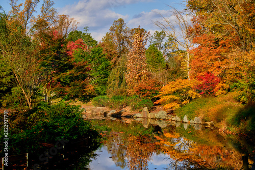 Many colorful fall trees by a pond.