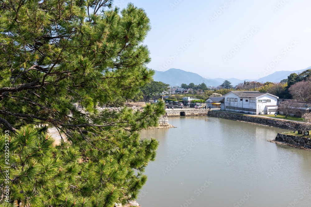 Fototapeta premium Hagi Castle Moat with Pine Tree Framing View of Mountains and Town