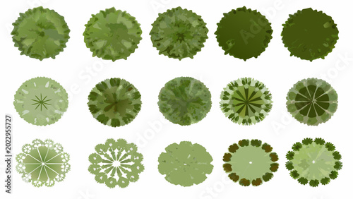 Foto collection of green tree top views aerial perspective vector illustration on whi