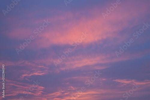 Bild auf Leinwand Beautiful Pink and Purple Twilight Sky with Soft Altocumulus Clouds