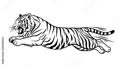 Obraz Aggressive running tiger black and white vector illustration