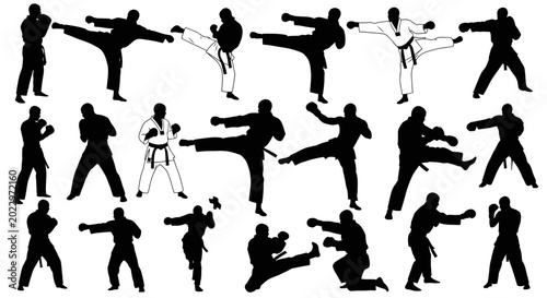 Bild auf Leinwand Karate Silhouette Collection: Dynamic Martial Arts Poses and Kicks