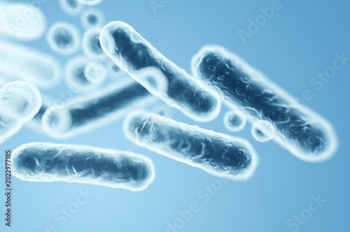 Microscopic view of rod-shaped gram-negative Enterobacteriaceae, part of gut flora. 3D rendering illustration