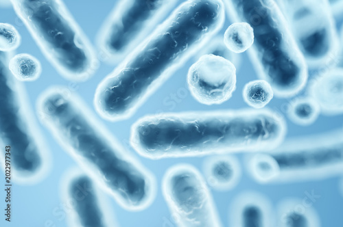 Enterobacteriaceae bacteria, gram-negative rods including Escherichia coli and Klebsiella species. 3D rendering illustration