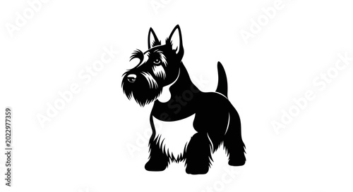 Foto Scottish Terrier Silhouette, Black and White Dog Illustration