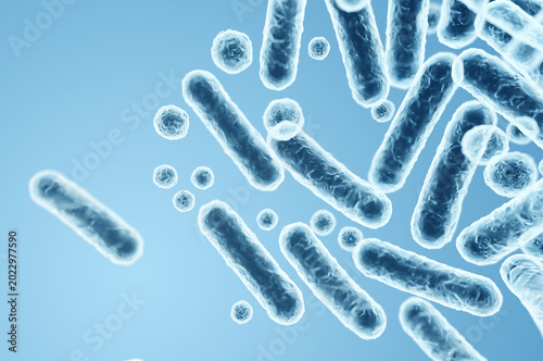 Gram-negative rod-shaped bacteria, Enterobacteriaceae family, intestinal microorganisms. 3D rendering illustration