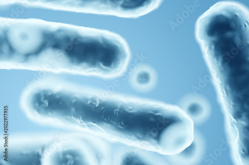 Gram-negative Enterobacteriaceae, rod-shaped bacteria in digestive system microbiome. 3D rendering illustration