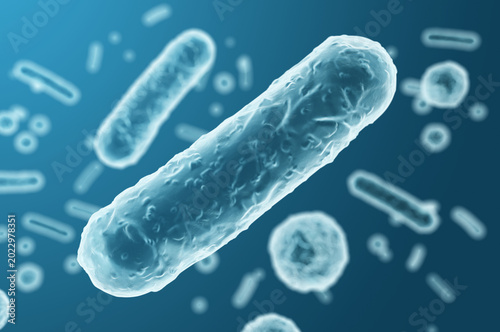 Enterobacteriaceae gram-negative rod-shaped bacteria, intestinal microbiome component and infection agents, Escherichia coli, Klebsiella and Enterobacter. 3D rendering illustration