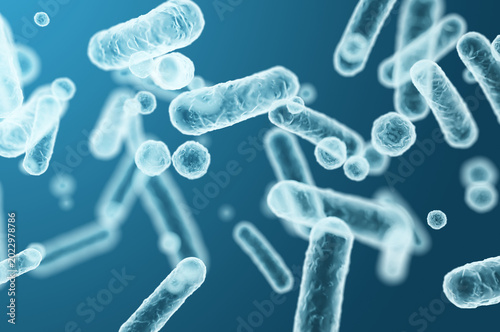 Enterobacteriaceae bacteria, gram-negative rod-shaped, intestinal microbiome members and infectious agents. 3D rendering illustration