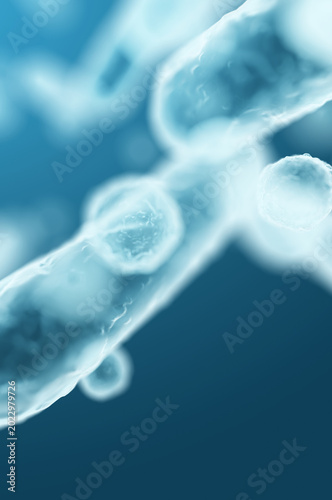 3D microscopic rendering of Enterobacteriaceae, gram-negative rod-shaped intestinal microbiome bacteria and infection agents. 3D rendering illustration