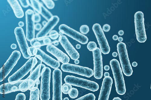 Enterobacteriaceae gram-negative rod-shaped bacteria, intestinal microbiome organisms linked to infections. 3D rendering illustration