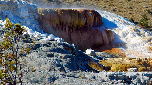 Yellowstone National Park