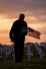 Remembrance silhouette with flag held outdoors at sunset among rows of flags