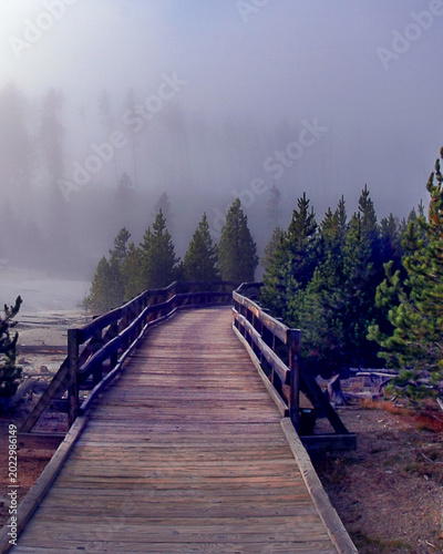 Yellowstone National Park