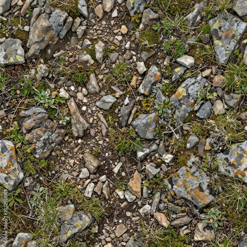 Detailed Close-Up of Rocky Ground with Green Vegetation and Natural Texture.