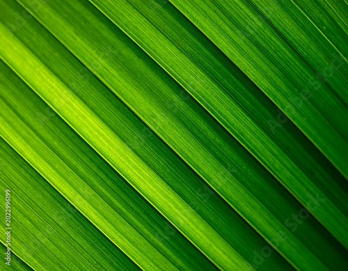 Close up of vibrant green palm leaf texture with linear patterns