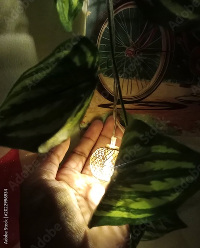 hand holding glowing decorative light with striped green leaves and bicycle background