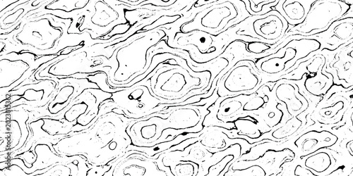 Fotografía Black and white abstract grunge  background with organic swirling patterns and s