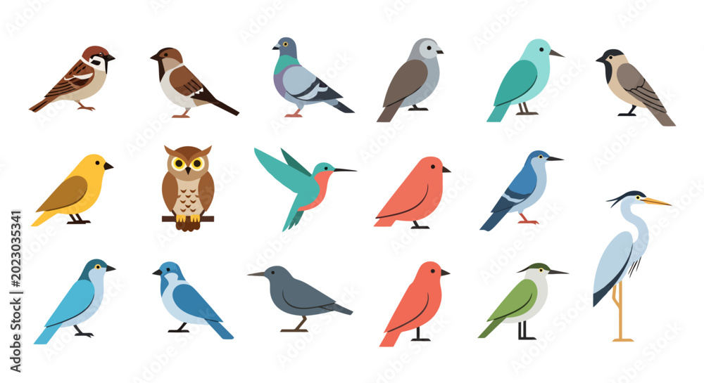Fototapeta premium Diverse Collection of Various Bird Species Displayed Together in a Lively Arrangement Showing Avian Life and Nature Fauna Including Small Songbirds and Larger Wading Birds Illustrating
