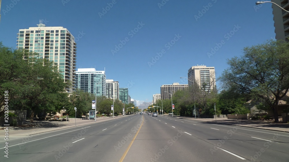 Obraz premium Wide city street lined with modern high-rise buildings and trees under a clear blue sky