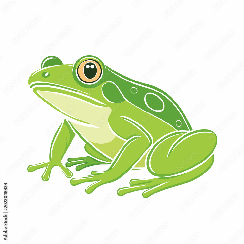 Fototapeta premium Green Frog Illustration