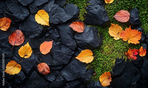 Autumnal tapestry: Golden foliage amidst the rugged textures of nature's canvas