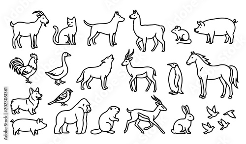 Photography Domestic and Farm Animal Hand Drawn Set with Horse Pig Goat Bird and Rabbit