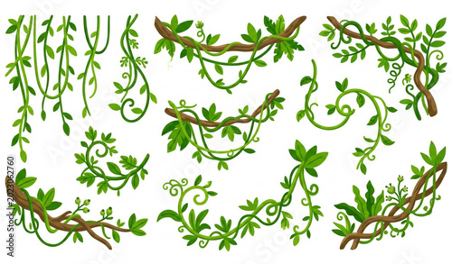 Bild auf Leinwand Cartoon liana vine vector set with winding jungle climbing plants isolated on wh