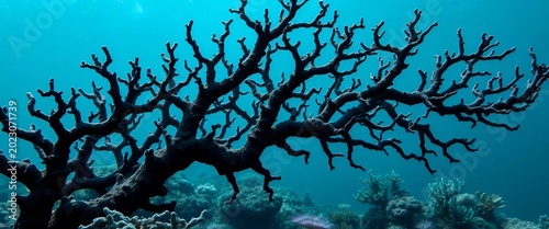 Intricate black coral branches, deep ocean setting,  shadows,   underwater photography