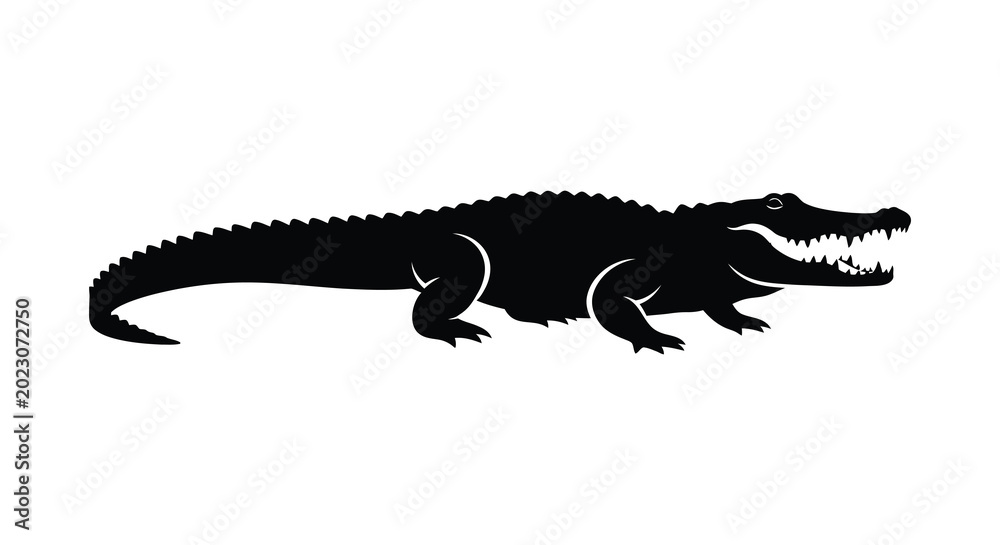 Fototapeta premium Alligator silhouette on a white background silhouette