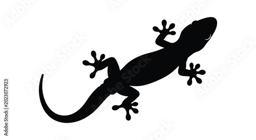 Tableau sur toile Lizard silhouette on a white background black and white silhouette