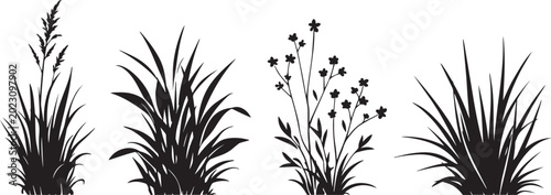 Photos Black silhouette grass tufts and wild meadow plants, botanical field greenery ve