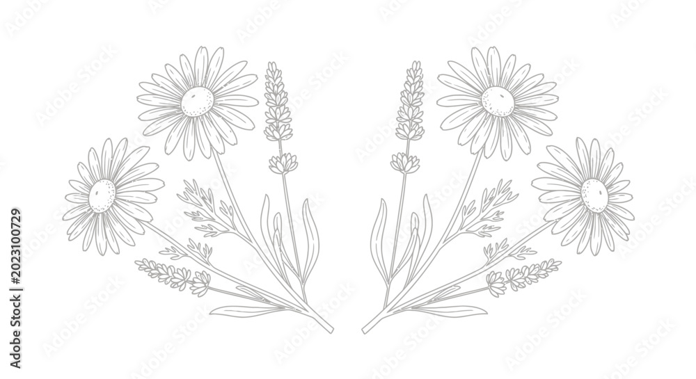 Obraz premium A line drawing of flowers and plants.