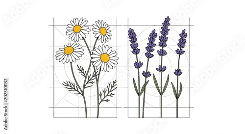 stained glass window floral design pattern.